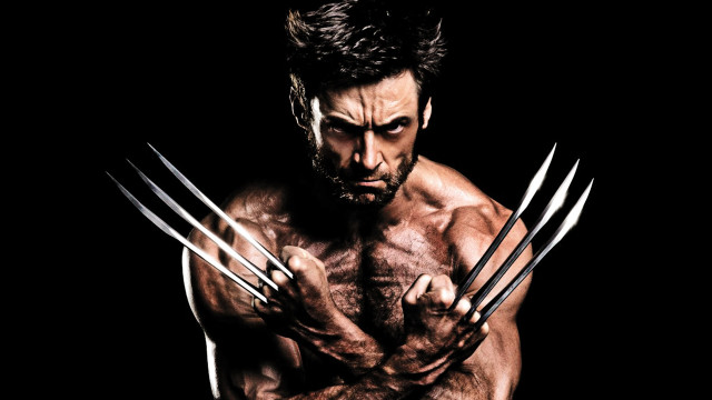 Bearded man claws wolverine staff #2 free wallpaper for desktop - medium preview image