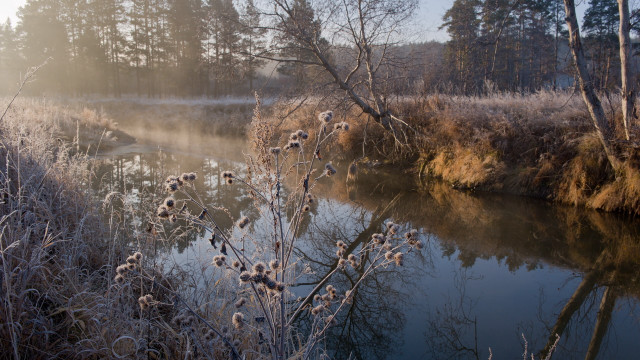 Winter river foggy sunshine autumn free wallpaper for desktop - medium preview image