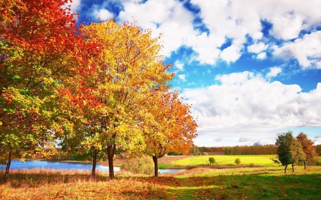 Autumn lake trees clouds sky free wallpaper for desktop - medium preview image