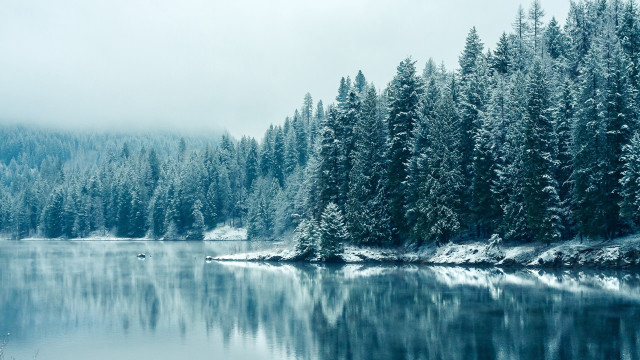 Lake snowy forest boat fog free wallpaper for desktop - medium preview image