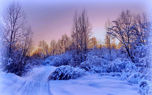 Snowy road trees sky winter free wallpaper for desktop - medium preview image