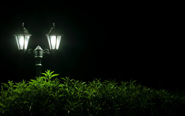Street light bush night ambient free wallpaper for desktop - medium preview image