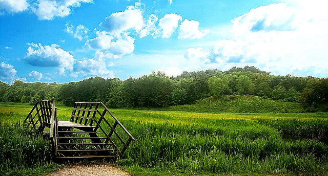 Wooden bench field trees sky free wallpaper for desktop - medium preview image