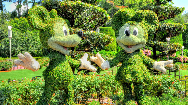 Green plants with faces park free wallpaper for desktop - medium preview image