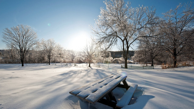 Snowy park bench trees blue free wallpaper for desktop - medium preview image