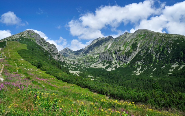 Mountain meadow flower clouds blue free wallpaper for desktop - medium preview image