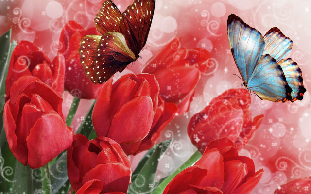 Butterfly red flowers swirly background free wallpaper for desktop - medium preview image