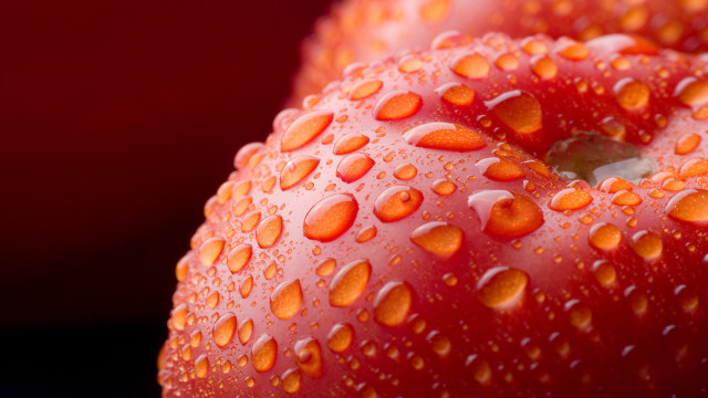 Red apple water drops macro #4 free wallpaper for desktop - medium preview image