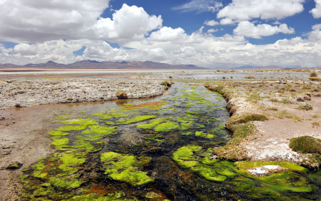 Algae stream mountains clouds ecological free wallpaper for desktop - medium preview image