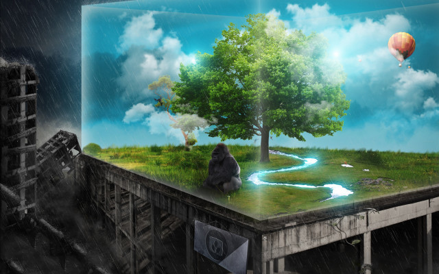 Tree person ledge rain hotairballoon free wallpaper for desktop - medium preview image