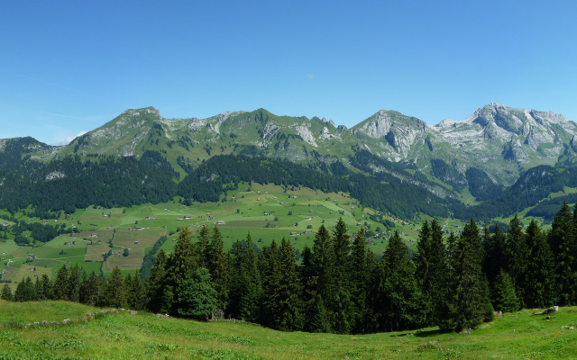 Mountain range grassy field trees #3 free wallpaper for desktop - medium preview image