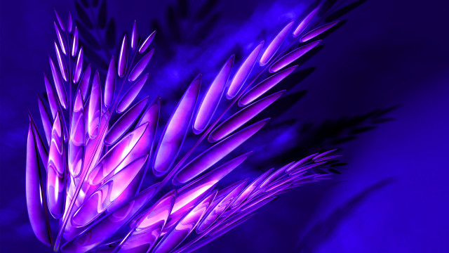 Purple flower blue background purple free wallpaper for desktop - medium preview image