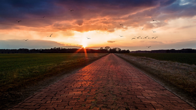 Brick road birds sunset matte free wallpaper for desktop - medium preview image