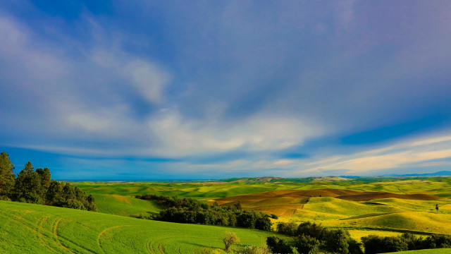 Green field trees clouds blue #3 free wallpaper for desktop - medium preview image