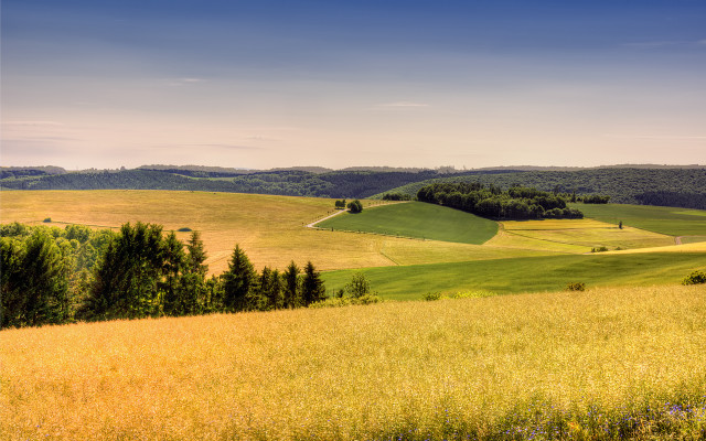 Grassy field trees hills blue free wallpaper for desktop - medium preview image