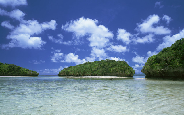 Lake forest sky islands reflection free wallpaper for desktop - medium preview image