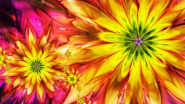 Colorful flower yellow center purple free wallpaper for desktop - medium preview image