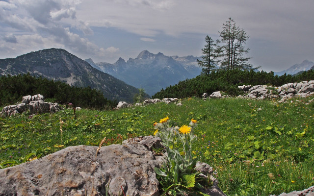 Mountain field flowers rock clouds free wallpaper for desktop - medium preview image