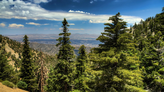 Mountain range view trees horizon free wallpaper for desktop - medium preview image