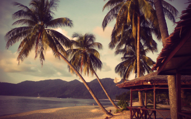 Hut beach palm trees mountain free wallpaper for desktop - medium preview image