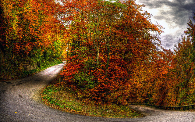 Winding road autumn leaves nature #2 free wallpaper for desktop - medium preview image