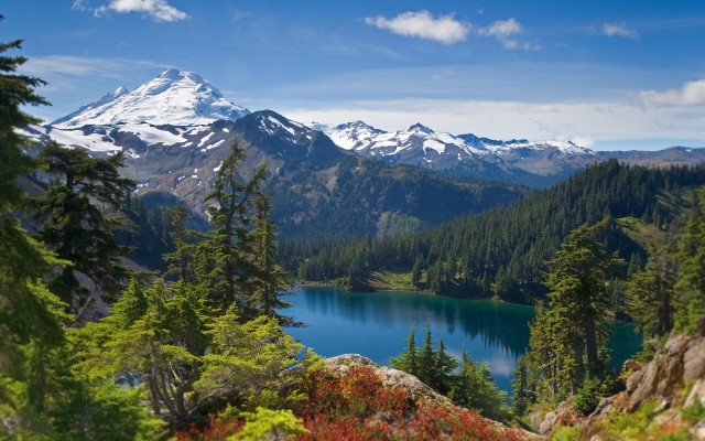 Mountain lake forest flower horizon free wallpaper for desktop - medium preview image