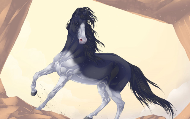 Horse cave sky background person free wallpaper for desktop - medium preview image