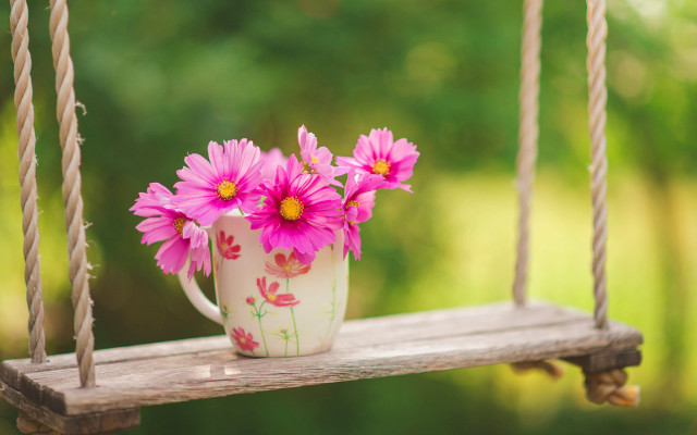 White mug pink flowers swing free wallpaper for desktop - medium preview image