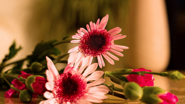 Flowers table center red spiderlily free wallpaper for desktop - medium preview image