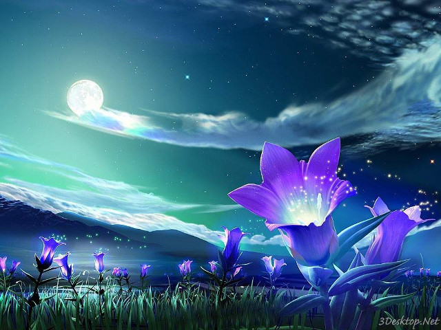 Flower night sky full moon free wallpaper for desktop - medium preview image