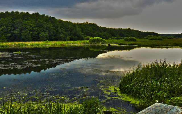 Lake forest bench clouds city free wallpaper for desktop - medium preview image
