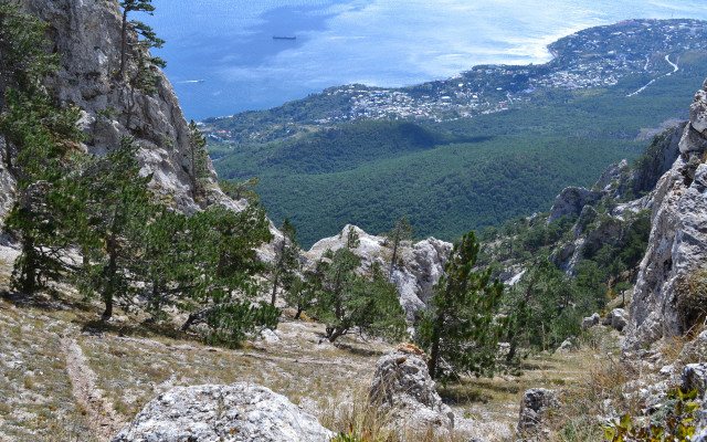 Mountain lake view forest bush free wallpaper for desktop - medium preview image