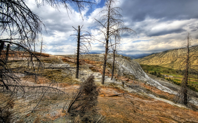 Mountain trail dead trees cloudy free wallpaper for desktop - medium preview image