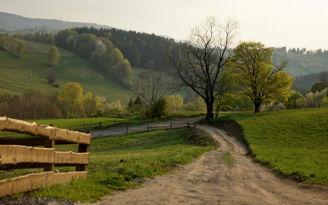 Dirt road lush countryside tree free wallpaper for desktop - medium preview image