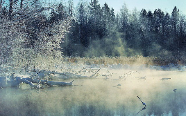Foggy lake birds winter arkhip free wallpaper for desktop - medium preview image