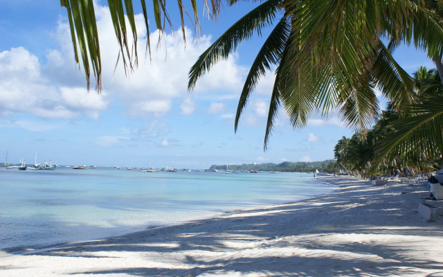 Beach boat palmtree water cloudy free wallpaper for desktop - medium preview image