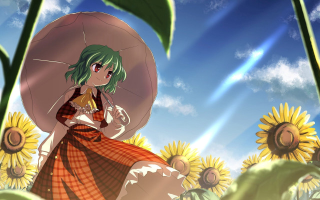 Woman umbrella sunflowers field sky free wallpaper for desktop - medium preview image