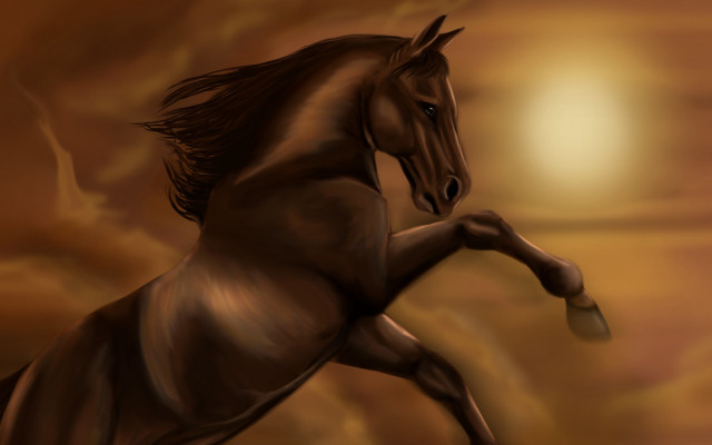 Horse air running front legs free wallpaper for desktop - medium preview image