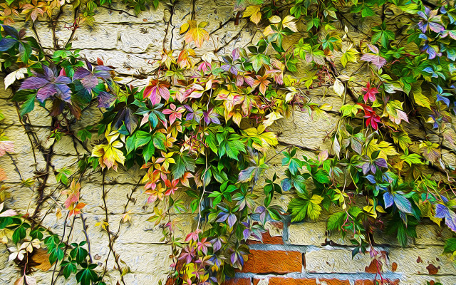 Brick wall vines leaves clocks free wallpaper for desktop - medium preview image