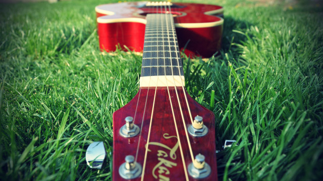 Red guitar green field folk #2 free wallpaper for desktop - medium preview image