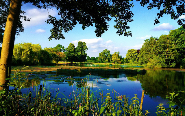 Lake trees grass sky clouds free wallpaper for desktop - medium preview image