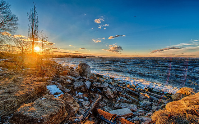 Sunset rocky beach guitar tree free wallpaper for desktop - medium preview image