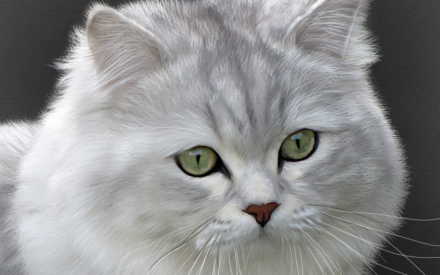 White cat green eyes photorealistic free wallpaper for desktop - medium preview image