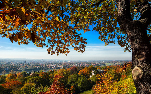 City hill autumn trees blue free wallpaper for desktop - medium preview image