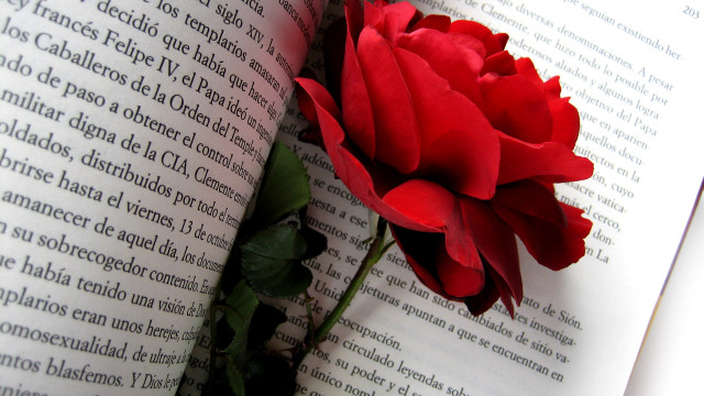 Red rose love book romanticism free wallpaper for desktop - medium preview image