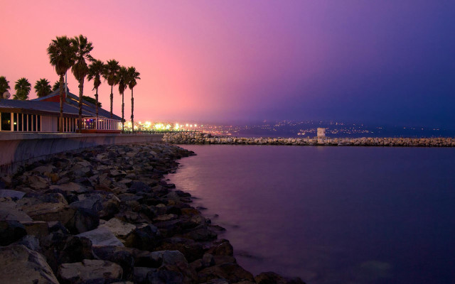 Purple sky water palm trees free wallpaper for desktop - medium preview image