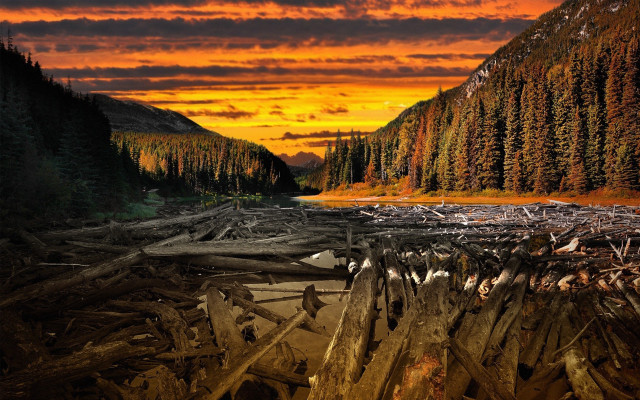 Sunset mountain lake fallen tree free wallpaper for desktop - medium preview image