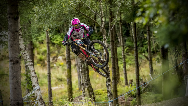 Bike jump woods blurry motion free wallpaper for desktop - medium preview image