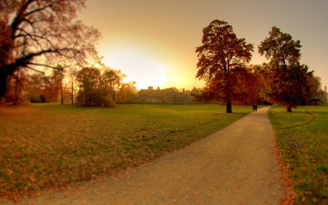 Park path autumn leaves sunset free wallpaper for desktop - medium preview image