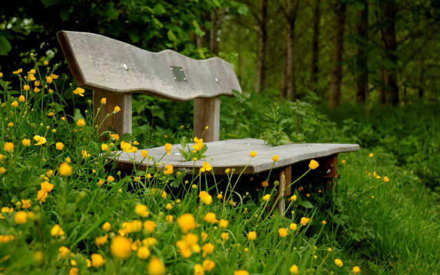 Bench flower field forest autumn free wallpaper for desktop - medium preview image